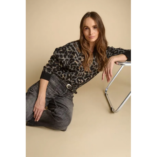 Pull Dallas HIVER femme, imprimé animalier LE TEMPS DES CERISES